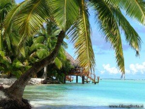 Aitutaki 102 (Medium)